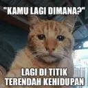 Pelekat