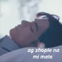 贴纸