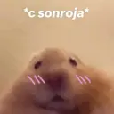 ਸਟਿਕਰ