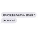 Stika