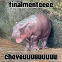 Figurinha