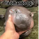 Figurinha