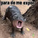 Figurinha