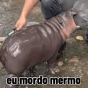 Figurinha