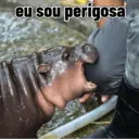 Figurinha
