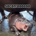 Figurinha