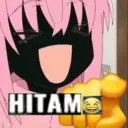 贴纸