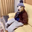 Figurinha