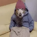 Figurinha