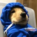 Figurinha