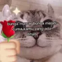 Nhãn dán
