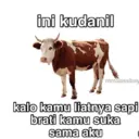 Nhãn dán
