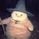 স্টিকার