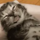 স্টিকার