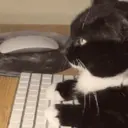 স্টিকার