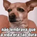 Figurinha