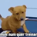 Figurinha