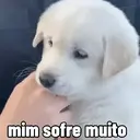 Figurinha