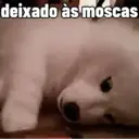 Figurinha