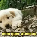 Figurinha