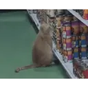 ملصق