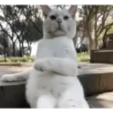 ملصق