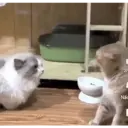 ملصق