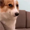 Figurinha
