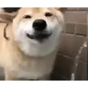 Figurinha