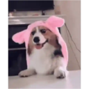 Figurinha