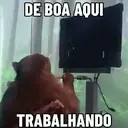 ملصق