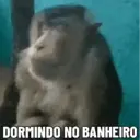 ملصق