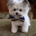 스티커