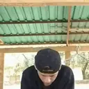 ملصق