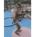 Կպչուն պիտակ