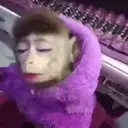 Կպչուն պիտակ