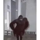 Կպչուն պիտակ