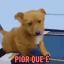 Figurinha