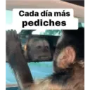 Stika