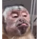 Stika