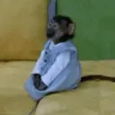 Կպչուն պիտակ