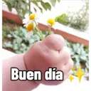 Figurinha