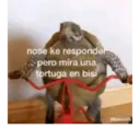 Stika