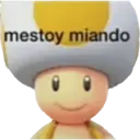 Stika