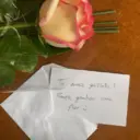 Autocolant