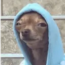 Samolepka