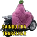 Samolepka