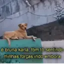 Çıkartma