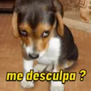 Stika