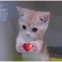 Stika